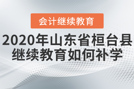 2020年山東省桓臺(tái)縣會(huì)計(jì)繼續(xù)教育如何進(jìn)行補(bǔ)學(xué)？