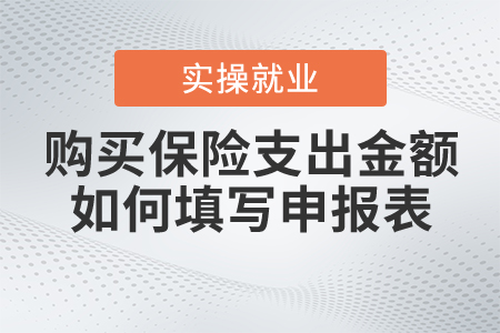 購(gòu)買(mǎi)保險(xiǎn)支出金額如何填寫(xiě)申報(bào)表？