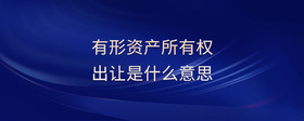 有形資產(chǎn)所有權(quán)出讓是什么意思