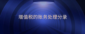 增值稅的賬務處理分錄