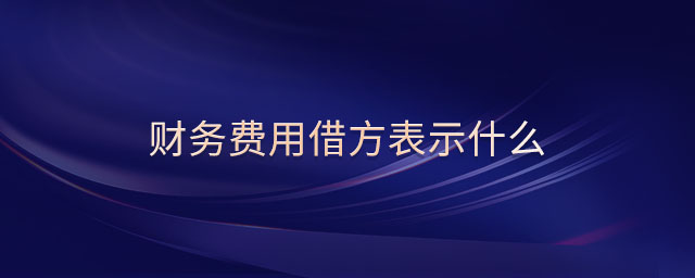 財(cái)務(wù)費(fèi)用借方表示什么