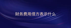 財務費用借方表示什么