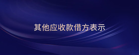 其他應收款借方表示
