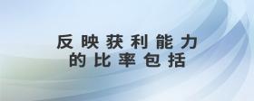 反映獲利能力的比率包括