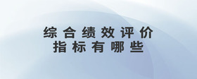 綜合績效評價(jià)指標(biāo)有哪些