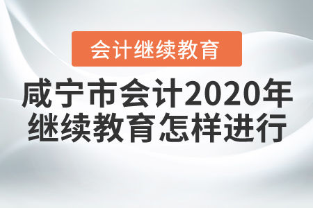 咸寧市會(huì)計(jì)2020年網(wǎng)上繼續(xù)教育怎樣進(jìn)行？