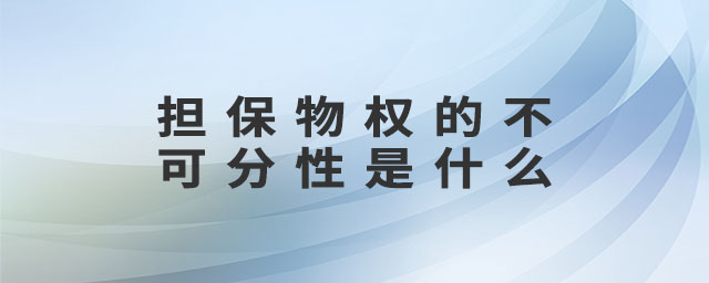 擔(dān)保物權(quán)的不可分性是什么