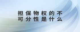 擔(dān)保物權(quán)的不可分性是什么