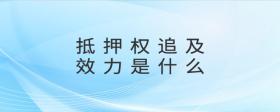 抵押權(quán)追及效力是什么
