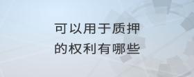 可以用于質(zhì)押的權(quán)利有哪些