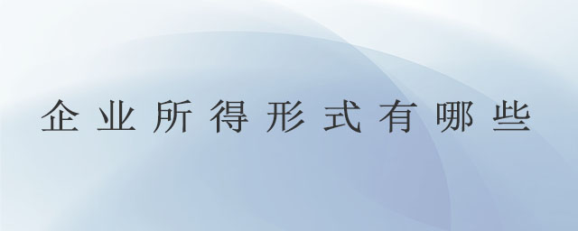 企業(yè)所得形式有哪些