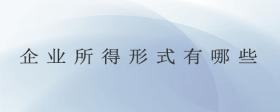 企業(yè)所得形式有哪些