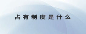 占有制度是什么