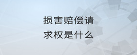 損害賠償請(qǐng)求權(quán)是什么