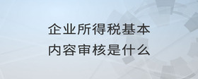 企業(yè)所得稅基本內容審核是什么