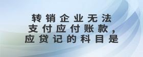 轉(zhuǎn)銷企業(yè)無法支付應(yīng)付賬款,應(yīng)貸記的科目是