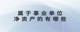 屬于事業(yè)單位凈資產(chǎn)的有哪些