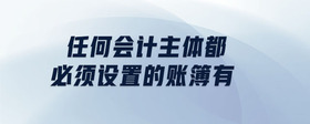 任何會(huì)計(jì)主體都必須設(shè)置的賬簿有