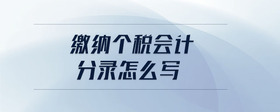 繳納個(gè)稅會(huì)計(jì)分錄怎么寫