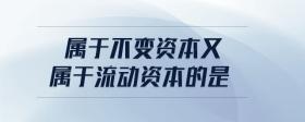 屬于不變資本又屬于流動(dòng)資本的是