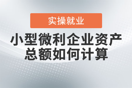 小型微利企業(yè)資產(chǎn)總額如何計(jì)算？