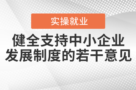 《關(guān)于健全支持中小企業(yè)發(fā)展制度的若干意見》的解讀