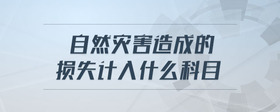 自然災(zāi)害造成的損失計入什么科目