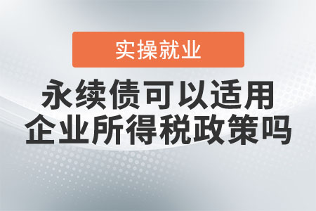永續(xù)債可以適用企業(yè)所得稅政策嗎？