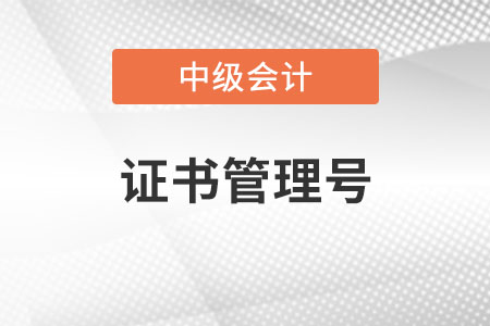 中級(jí)會(huì)計(jì)師編號(hào)和管理號(hào)是同一個(gè)嗎？