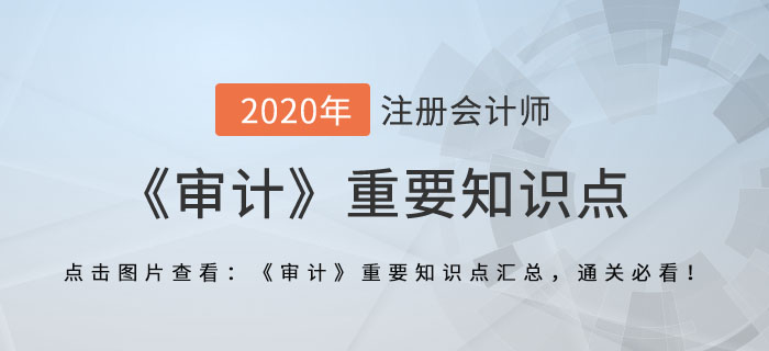 貨幣資金審計概述_2020年注會《審計》重要知識點(diǎn)