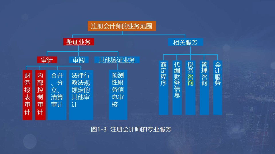 注冊會計師的專業(yè)服務(wù)