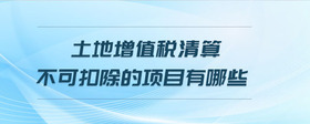 土地增值稅清算不可扣除的項目有哪些