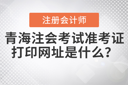 2020年青海注冊(cè)會(huì)計(jì)師考試準(zhǔn)考證打印網(wǎng)址是什么？