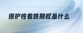 保護(hù)性看跌期權(quán)是什么