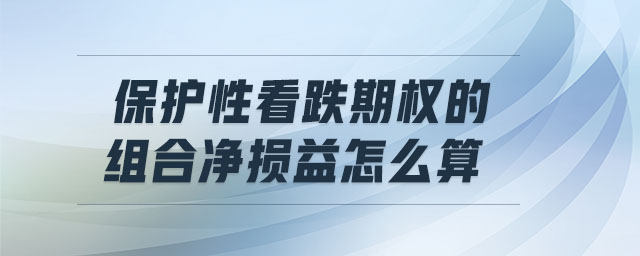 保護(hù)性看跌期權(quán)的組合凈損益怎么算
