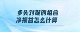 多頭對(duì)敲的組合凈損益怎么計(jì)算