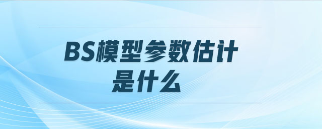 BS模型參數(shù)估計(jì)是什么