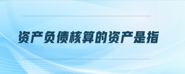 資產(chǎn)負(fù)債核算的資產(chǎn)是指