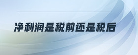 凈利潤是稅前還是稅后