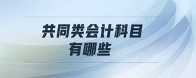 共同類會計科目有哪些