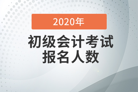 福建省龍巖市2020年初級會計考試報名人數(shù)及出考率已公布