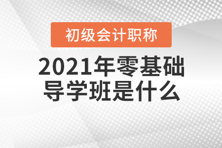 2021年零基礎(chǔ)導(dǎo)學(xué)班是什么