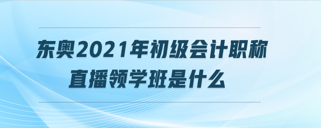 東奧2021年初級(jí)會(huì)計(jì)職稱直播領(lǐng)學(xué)班是什么