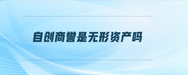 自創(chuàng)商譽(yù)是無(wú)形資產(chǎn)嗎
