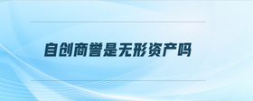 自創(chuàng)商譽是無形資產(chǎn)嗎