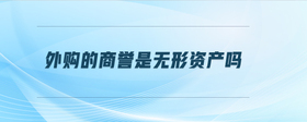 外購的商譽是無形資產(chǎn)嗎