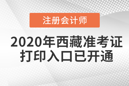 2020年西藏注冊會計(jì)師準(zhǔn)考證打印入口已開通