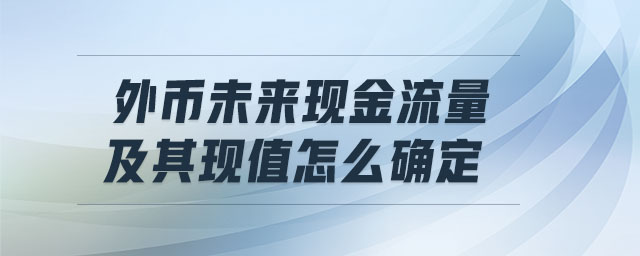 外幣未來現(xiàn)金流量及其現(xiàn)值怎么確定