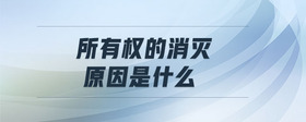 所有權(quán)的消滅原因是什么