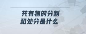 共有物的分割和處分是什么